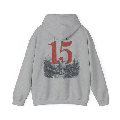Luke 15 Hoodie
