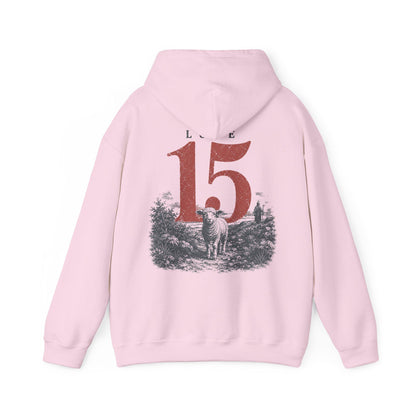 Luke 15 Hoodie